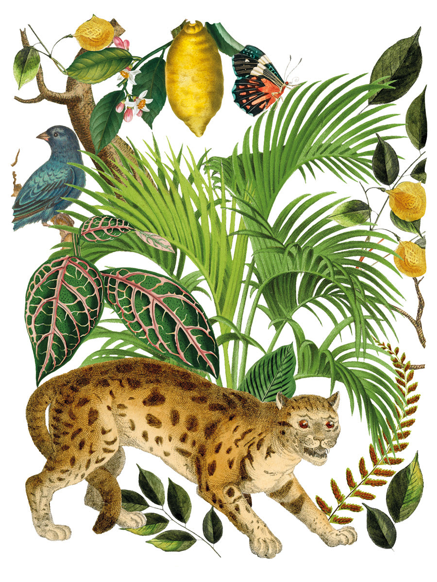 Bungalow IOD Transfer 12×16 PAD