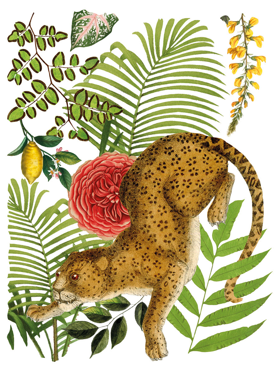 Bungalow IOD Transfer 12×16 PAD