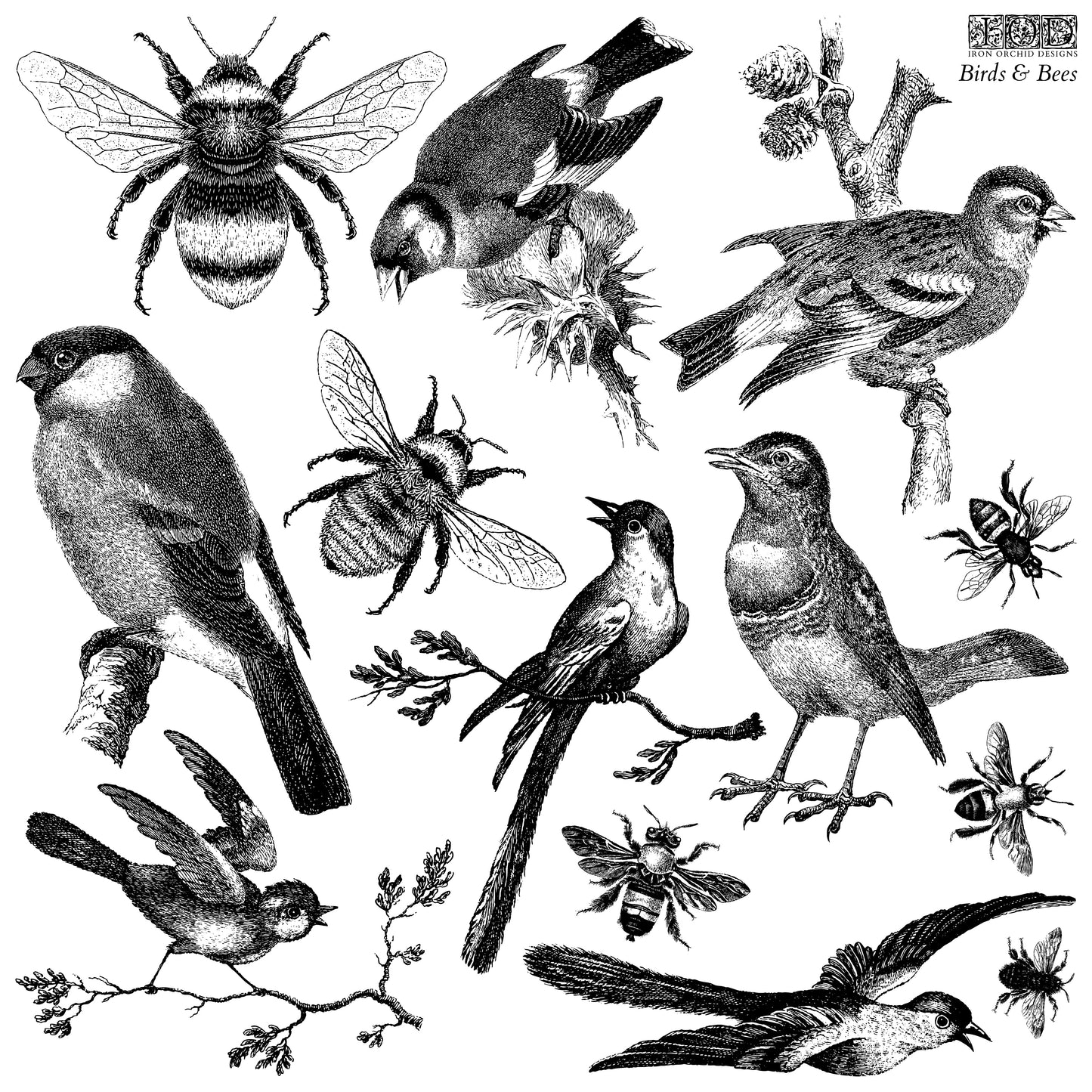 Birds and Bees 12×12 Decor Stamp