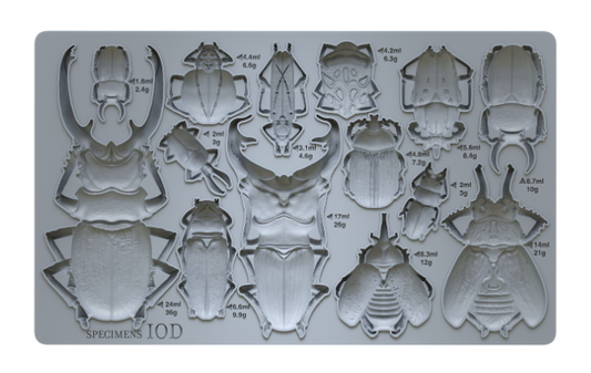 Specimens 6"x10" Decor Moulds