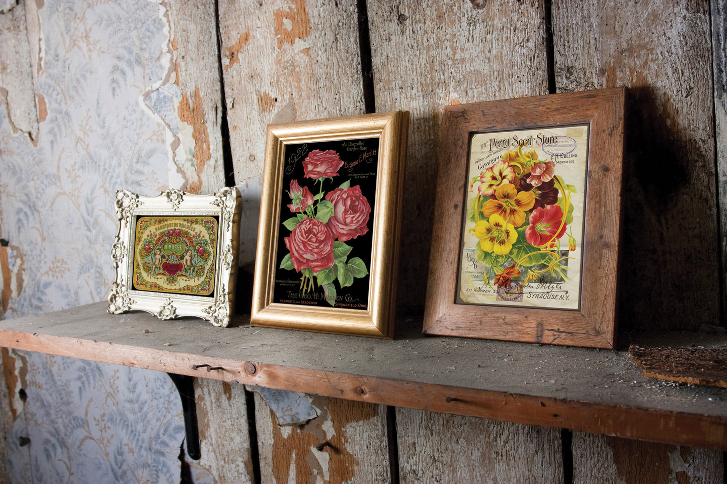 Ephemeral Melange IOD TRANSFER 8"X12" PAD