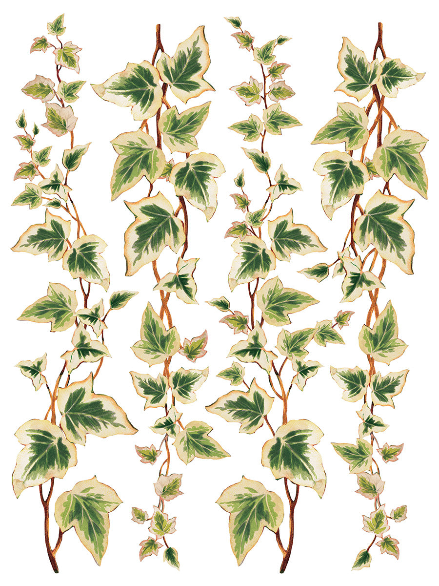 Collage De Fleurs Transfer 12"X16"