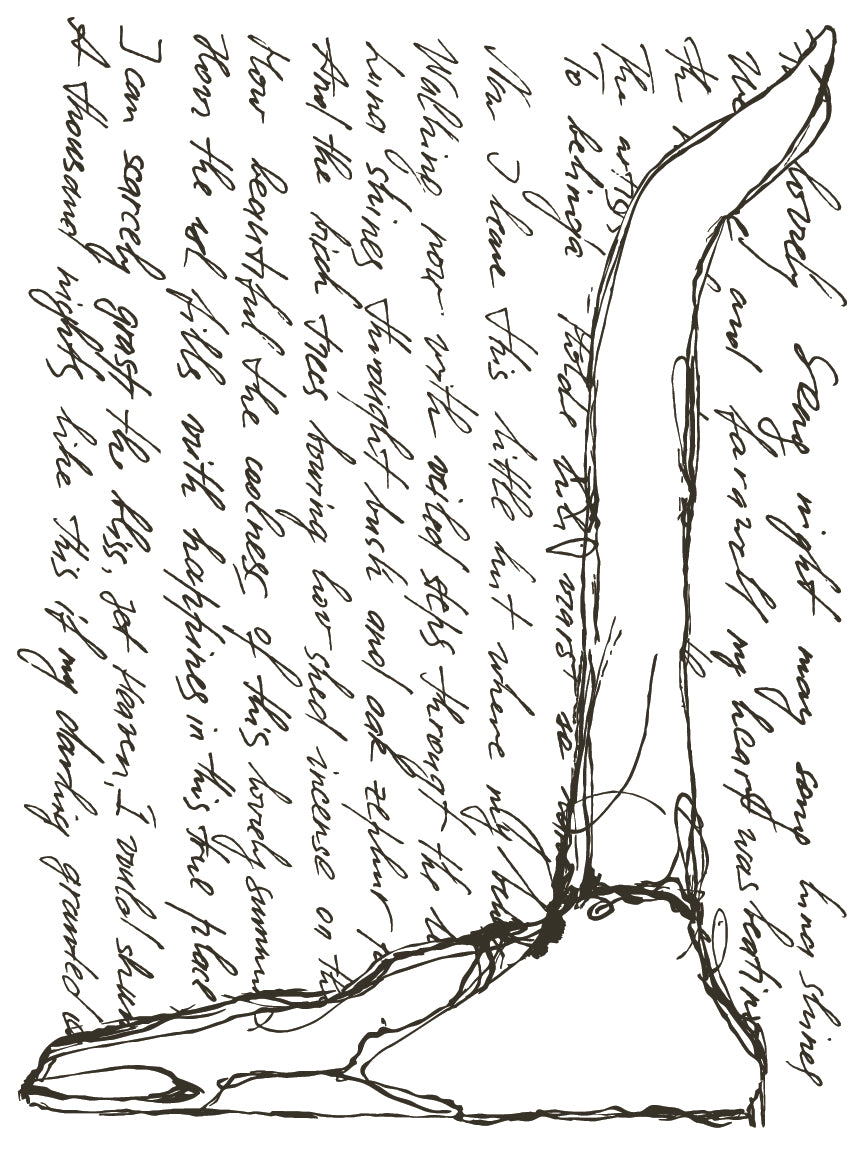 Desperado IOD TRANSFER 12×16 PAD