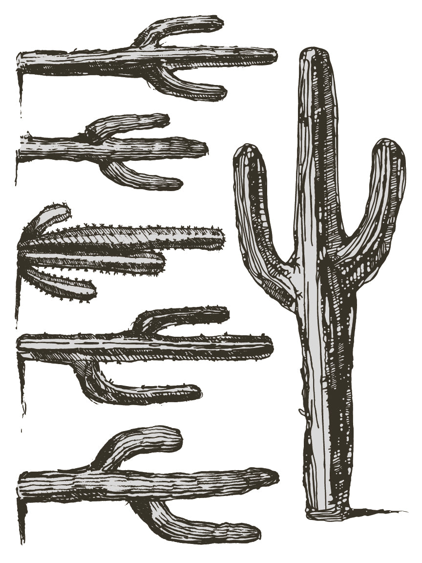 Desperado IOD TRANSFER 12×16 PAD