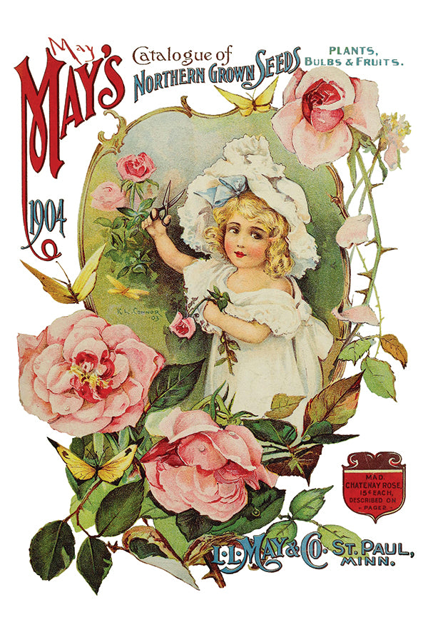 Ephemeral Melange IOD TRANSFER 8"X12" PAD