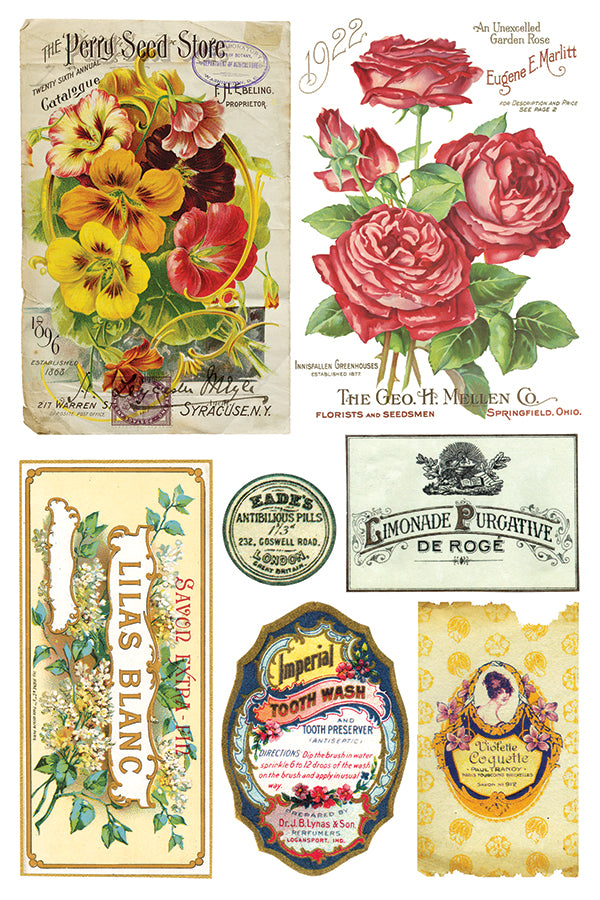 Ephemeral Melange IOD TRANSFER 8"X12" PAD