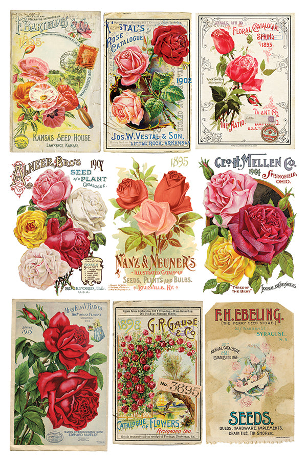 Ephemeral Melange IOD TRANSFER 8"X12" PAD