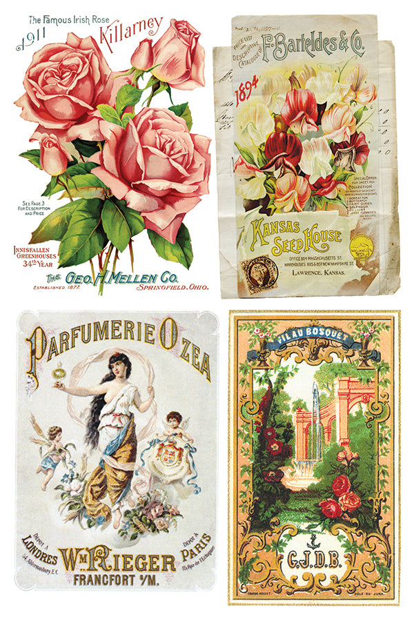 Ephemeral Melange IOD TRANSFER 8"X12" PAD