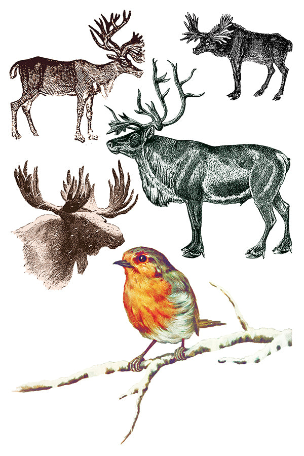 Figgy Pudding IOD Transfer 8"X12" Pad