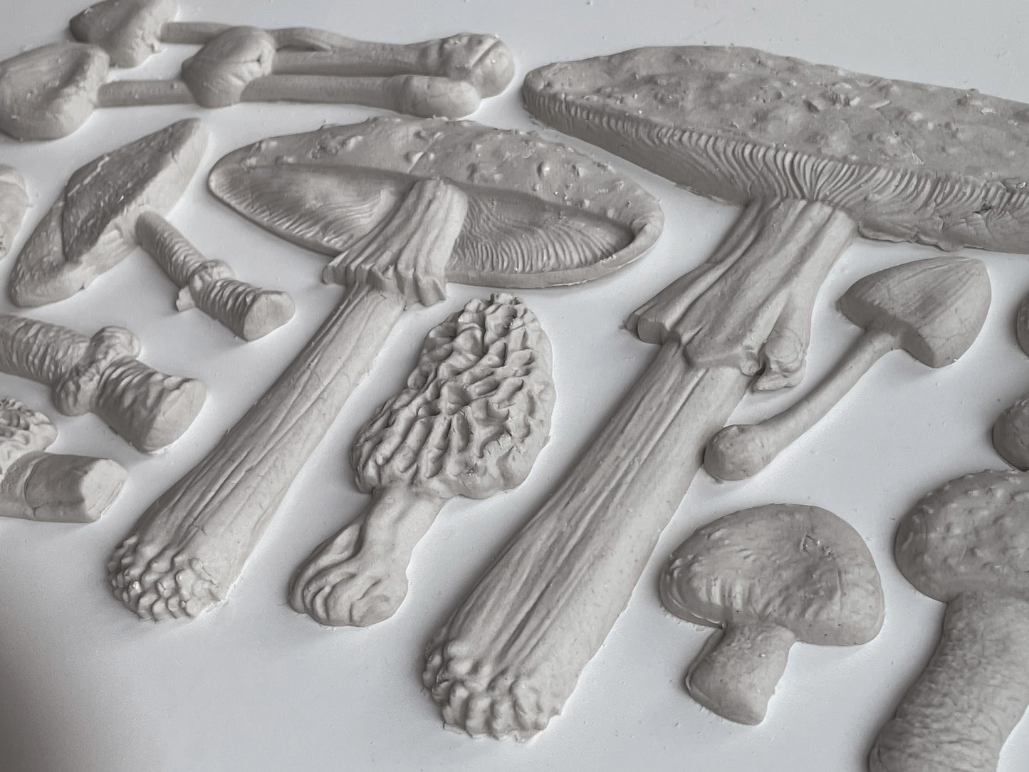 Toadstool 6"x10" Decor Moulds™