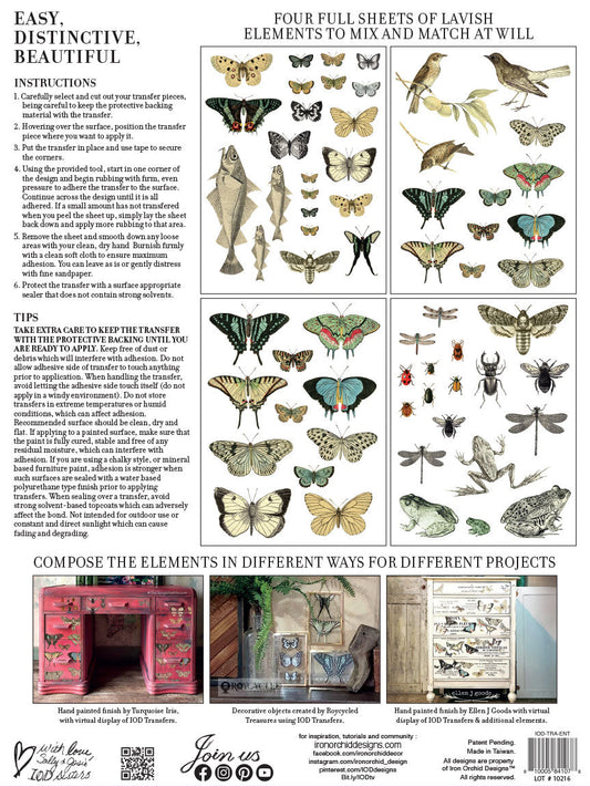 Entomology Etcetera IOD Transfer 12"×16" PAD