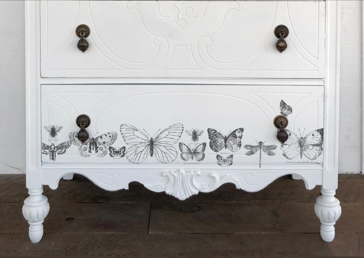 BUTTERFLIES 12×12 DECOR STAMP