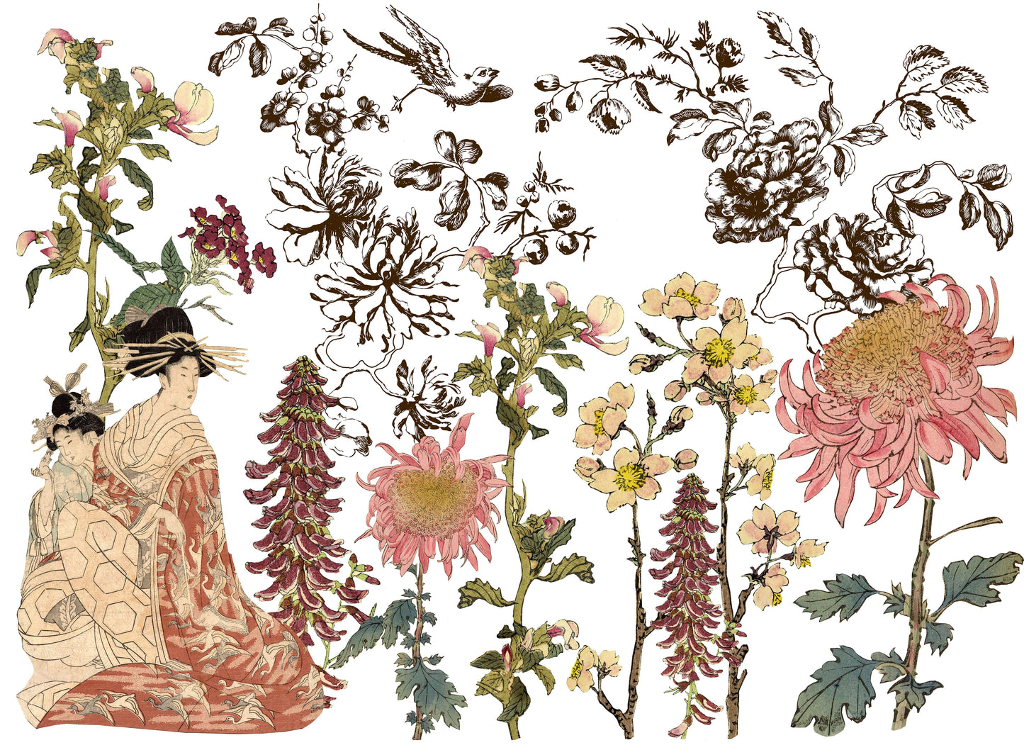 Japonica *RETIRED* 24"×33" Decor Transfer (tube)