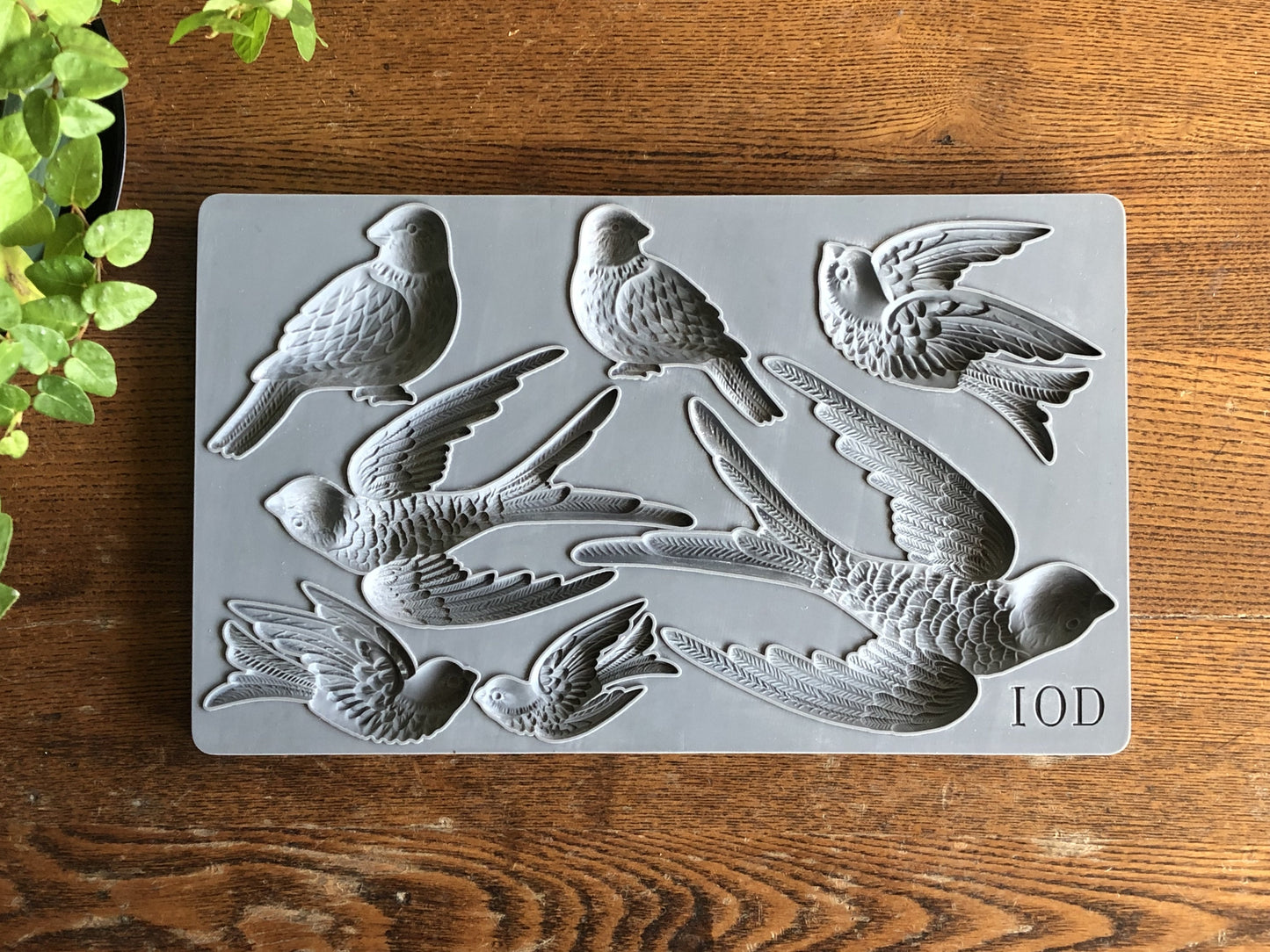 Birdsong 6"x10" Decor Moulds™