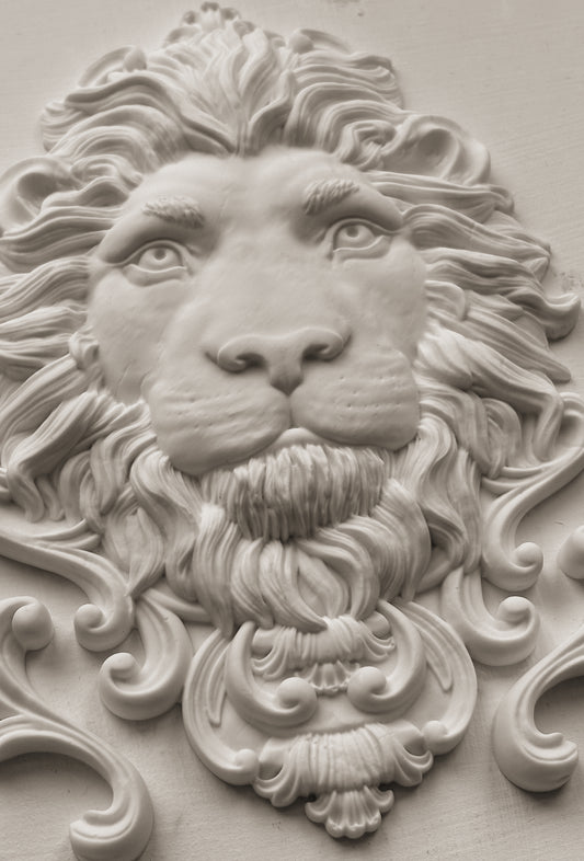 Leonidas  5"x7" Decor Moulds™