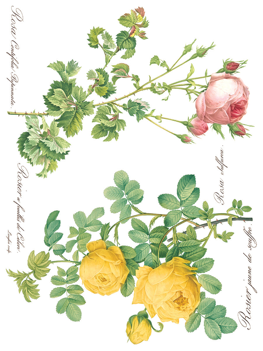 Rose Botanicals 12"X16" IOD Transfer