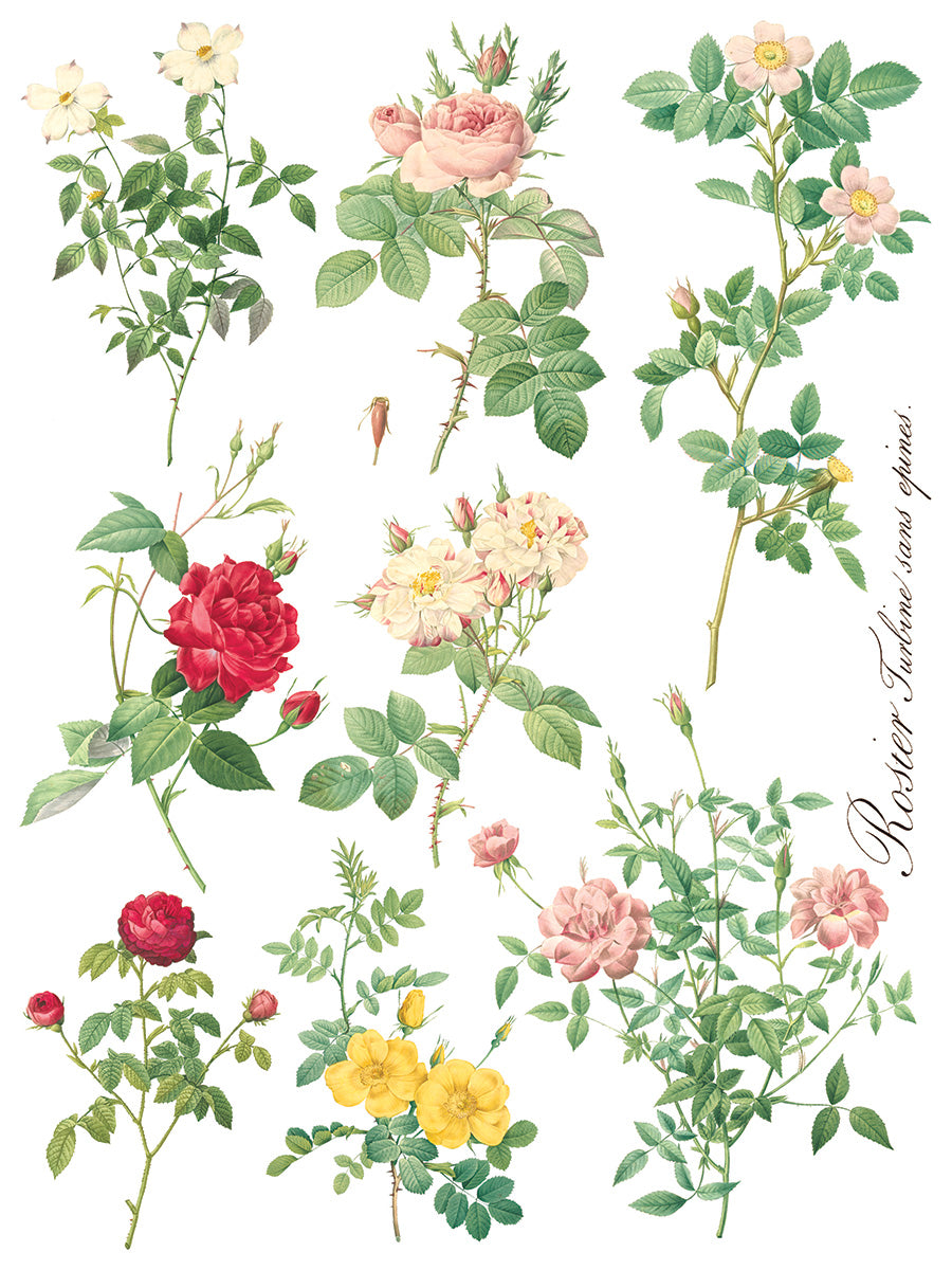 Rose Botanicals 12"X16" IOD Transfer