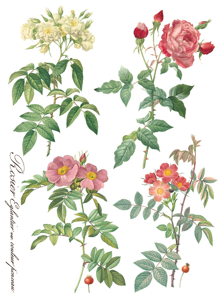 Rose Botanicals 12"X16" IOD Transfer