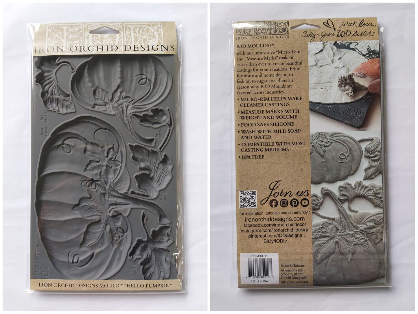 Hello Pumpkin  6"x10" Decor Moulds™