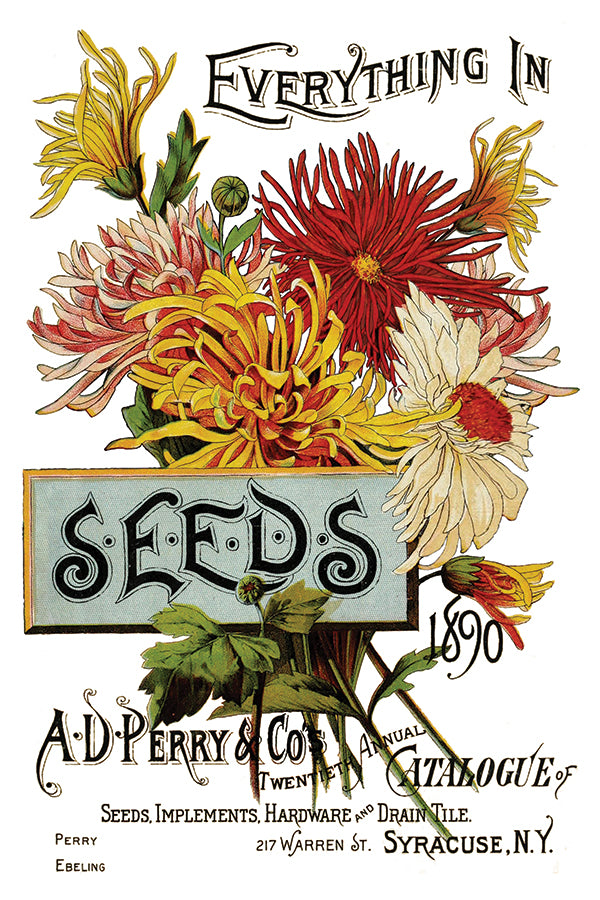 Seed Catalogue IOD Transfer 8"X12" Pad