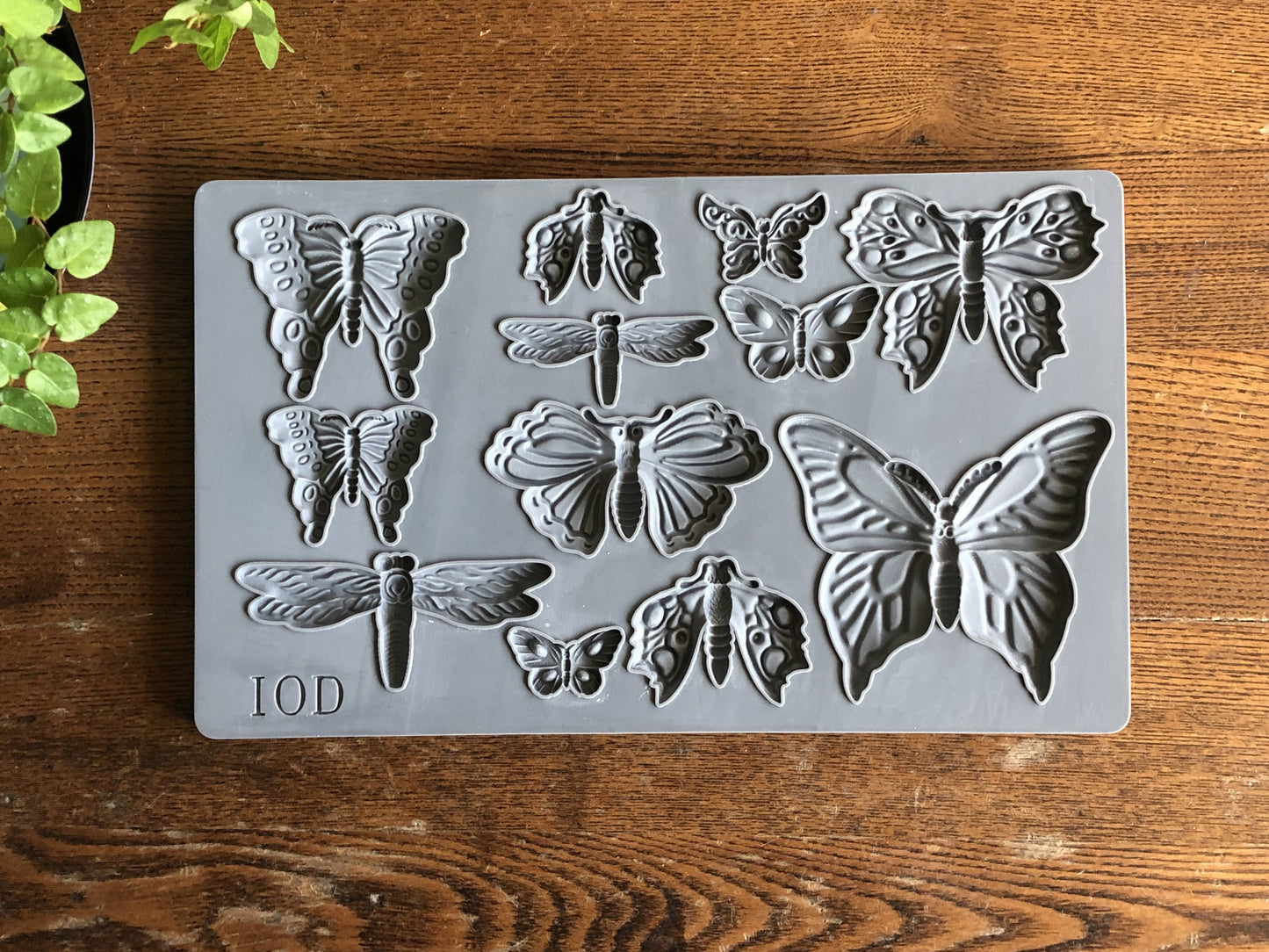 Monarch  6"x10" Decor Moulds™